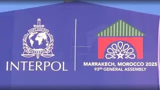 Interpol global policing forum  says security needs a new compass