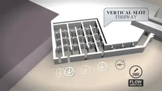 Chowilla Floodplain Icon Site - Chapter 5 - The environmental regulator