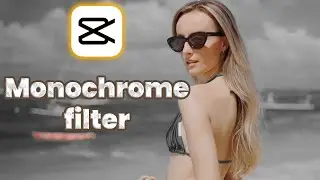 How to add a monochrome effect to a video/CapCut