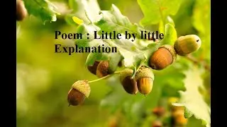 Little by little, poem class 3, English literature