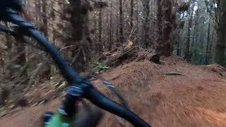 Zephyr - Onepu MTB park