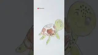 Turtle Drawing / How to draw a turtle 🐢