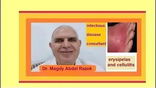 treatment of erysipelas and cellulitis