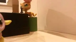 Неудачные новости pet shop