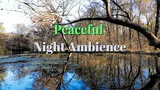 8 Hrs Fall Asleep Instantly | Peaceful Night Ambience