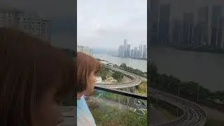 Amazing view at Roosevelt Hotel #roosevelthotel #hotel #amazingview #views #hotelview #ytshorts #yt