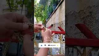 Cara mengikat Tali ke tiang #lifehacks #tipspraktis #tutorial #tipssederhana