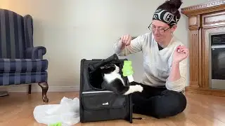 I Tested the BEST Airline-Approved Cat Backpack - Here's What Happened!🐱 #Pecute #cat