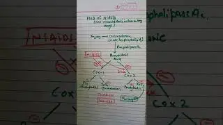 NSAIDs MOA😱😱😱 #nsaids #diclofenac #medicine #shortvideos