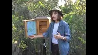 intro to the Wildflower Wayside Shrine Trail