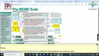 How to Find Transcription Factor Binding Sites in a Genome | Lecture 454 | Dr. Muhammad Naveed