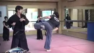 Técnicas de piernas en defensa en Hapkido, Maestro Lagier