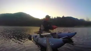 DAVE SCADDEN'S  ZONKER LO PRO