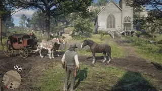 When you try to confuse the Honor System in RDR2 
