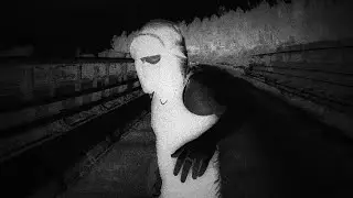OENN - KILLER
