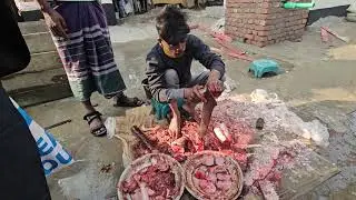 Big Fish Cutting in Fish Market | 123 Dance Media