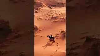 At Mleiha National Park, the silence speaks, and the sand holds stories only the wind can read.