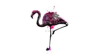 Create freehand drawings
