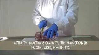 Restructured Pork Trimmings with Probind FG - Transglutaminase