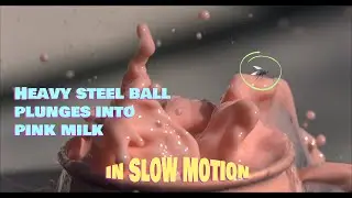 SLO-MOTION - Steel ball plunges into milk and a fly is in danger! - 4K UHD