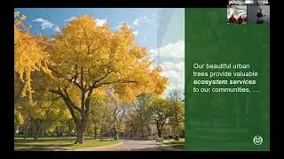No. 3 - 32nd Western Colorado Community Forestry Conference