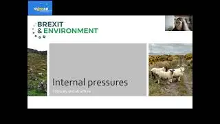 JMCE Seminar w/ Dr. Viviane Gravey - Remain or Abstain? Environmental NGOs in the 2016 EU Referendum