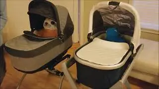 Bassinet Wars: Peg Perego vs. UPPA Baby