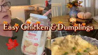 Easy Chicken & Dumplings // Great way to use up food!