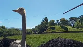La experiencia &uacute;nica de visitar el parque de cabarceno, el zoo m&aacute;s grande de Espa&ntilde;a
