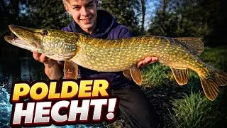 🎣 Brutaler Hecht aus dem Polder! Angeltrip Deutschland