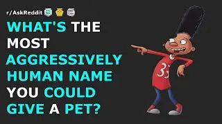 Whats the most aggressively 