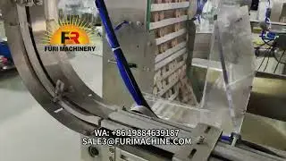 FURI 6-camera visual inspection device for full quality check