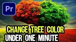Change tree color under a minute | Adobe premiere Pro ( Beginners Tutorials ) | Urdu / Hindi