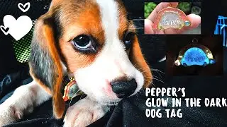 How to Make Dog Tag Using UV Resin