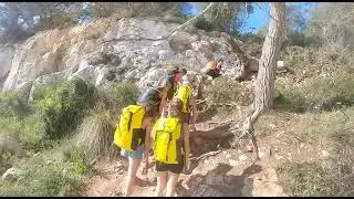 Cova de Coloms