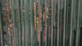 Стелка за самородно злато Клондайк 1 на Язон Голд
