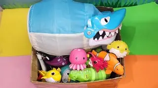 Sea Animal names and facts for preschool learning | Box of Sea animal toys