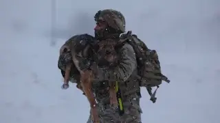 Тактическая боевая помощь раненым K9 в 10-й горной дивизии