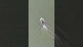 Catching MEGA Spotted Bass Cold Water Lanier #bassfishing #kayakfishing #shorts #fyp #catch