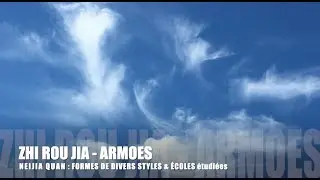 Neijia Quan, Arts Martiaux Internes avec Jean-Michel Chomet