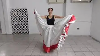Secuencia Pollera