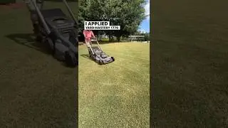 6 weeks later this happened to my lawn after applying Yard Mastery fertilizer