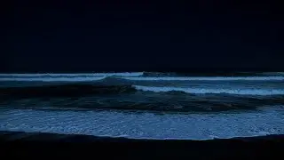 Restore Calm: Night Ocean Ambience 🌙