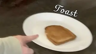 The Great Toast Conspiracy!