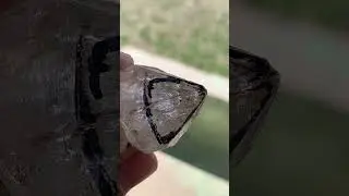 Moving Bubble in Quartz || #short #shortvideo #gemstone #quartz #shorts