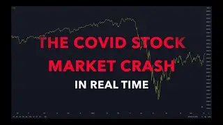 WATCH THE COVID STOCK MARKET CRASH OF 2020 IN REAL TIME!
