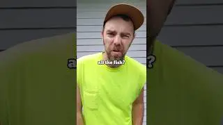 Fly Rod for ALL the Fish! #shorts #flyfishing #fishing #fishingvideo #funny
