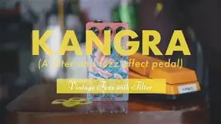 Walrus Audio Pedal Play: Kangra Filter Fuzz - Thick, vintage fuzz
