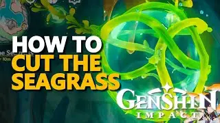 Cut the Seagrass Genshin Impact