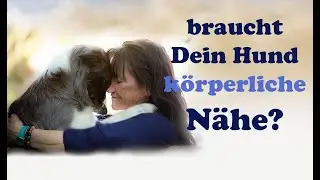 🐶 So gibst Du Deinem Hund Nähe und Verbindung bei Unruhe, Stress und Angst